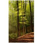 DIMEX ART Флизелинов фототапет гора 150 x 250 см