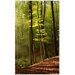 DIMEX ART Флизелинов фототапет гора 150 x 250 см