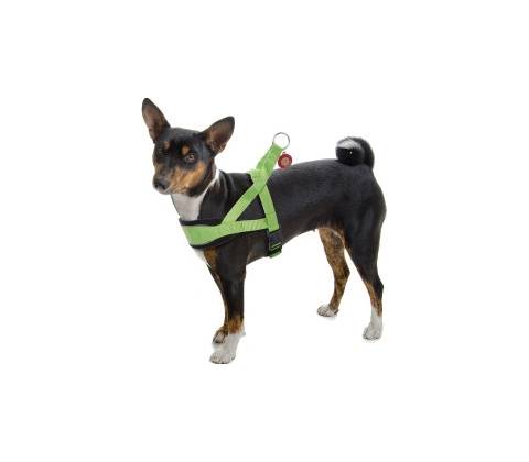JK ANIMALS Postroj Comfort