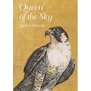 Queen of the Sky | Jackie Morris (ISBN: 9781913634773)