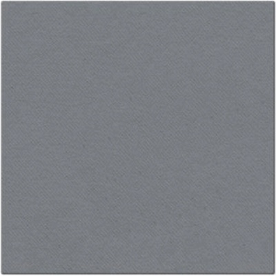 PAW Airlaid AAN000110 Unicolor Grey servítka 40x40cm