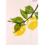 Starpak Briefcase with eraser A4 Fruits