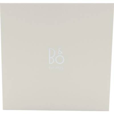 Bang & Olufsen Beosound A1 3rd Gen