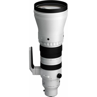 Sigma 300-600mm f/4 DG OS Sports L-mount