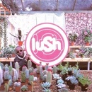 Lovelife - Lush CD