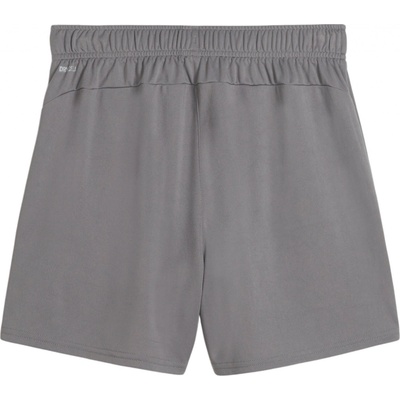 Puma teamGOAL Handball Shorts W 706019-13