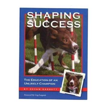 Shaping Success | Susan Garrett