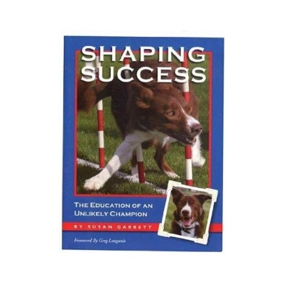 Shaping Success | Susan Garrett