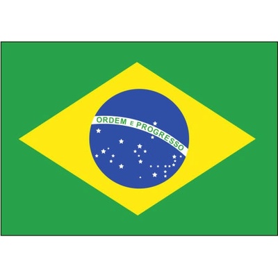 Plakát typ A4-A0 Brazilská vlajka