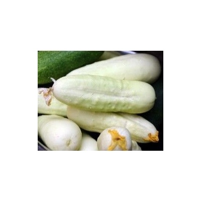 ? Краставица - White Wonder - 30-40семена (1 грам) (124300)