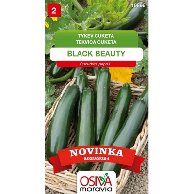 Aros Tykev cuketa (Cucurbita Pepo) Black Beauty, semínka 10 ks