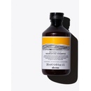 Davines NATURALTECH Nourishing vyživující šampon 250 ml
