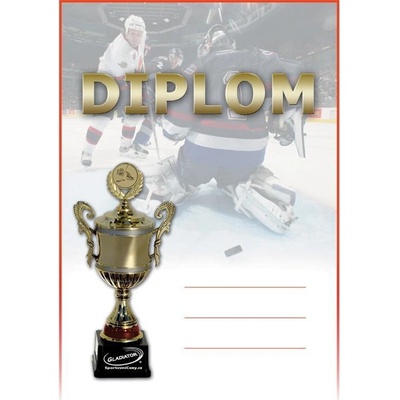 DH03d Diplom hokej