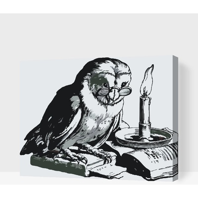 Vymalujsisam.cz Malování podle čísel Vzdělaná sova Velikost 30 x 40 cm Rámování Na kartonové desce