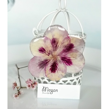 Meganflo Брошка нежно лилава налба