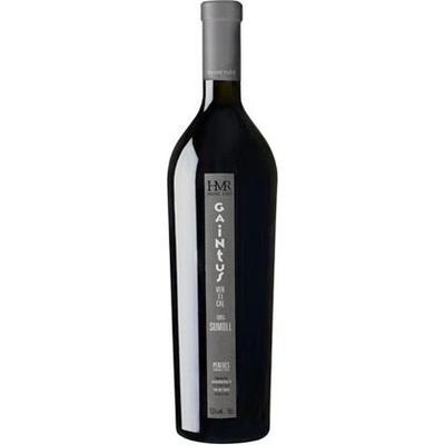 MontRubí Gaintus Vertical Sumoll 2017 13,5% 0,75 l (holá láhev)