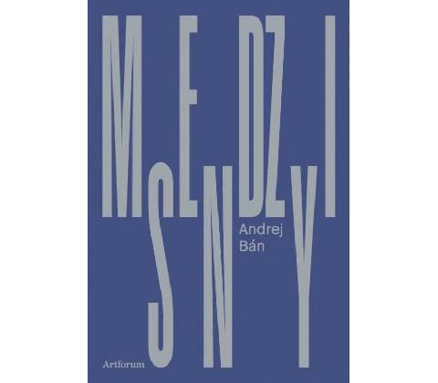 Medzisny