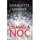 Osamělá noc