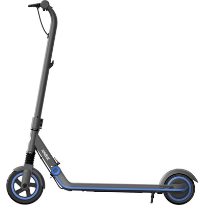 Ninebot ZING E10