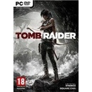 Hry na PC Tomb Raider: Anniversary