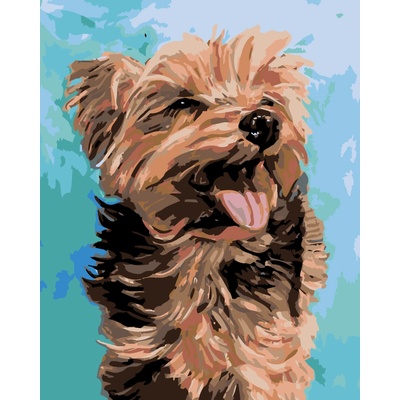 ZUTY Malování podle čísel VESELÝ YORKSHIRE 40 x 50 cm