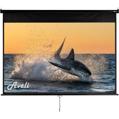 AVELI 200x125cm 16:10 92" XRT-00106B
