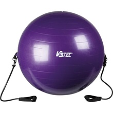 V3TEC Fit gymnic 65cm