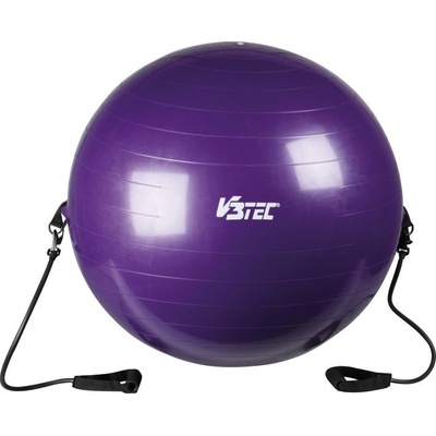 V3TEC Fit gymnic 65cm