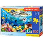 Castorland Puzzle 100 pcs. Dolphins in the Tropics