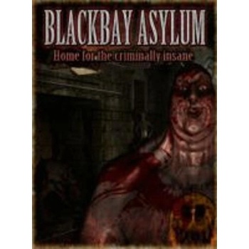 Kiss Publishing Blackbay Asylum (PC)
