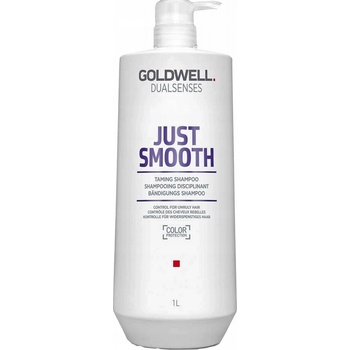 Goldwell Dualsenses Just Smooth Shampoo 1000 ml