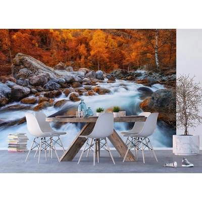 AG design FTNXXL-3012 vliesová fototapeta Autumn Rush rozměry 360 x 270 cm