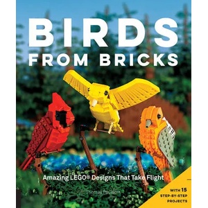 Birds from Bricks | Thomas Poulsom (ISBN: 9781631590795)