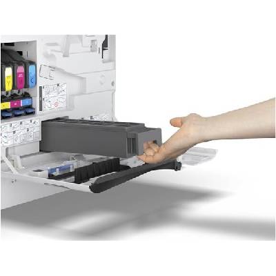 Epson Maintenance Box for AM-C400/550 (C12C937201)