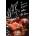 W. A. R. | Mick Wall