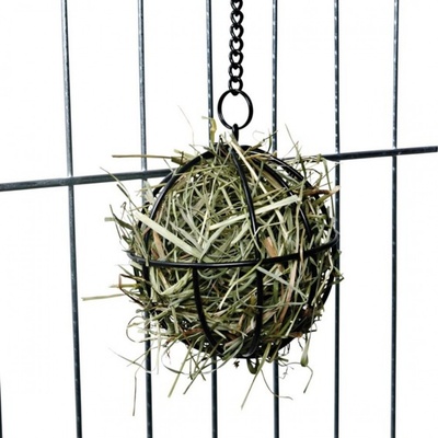 Trixie Chromovaný závěsný míč na potravu pro hlodavce 8 cm – Sleviste.cz