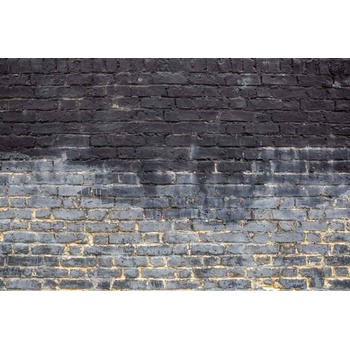 DIMEX ART s. r. o Флизелинов фототапет мокра тухлена стена 375 x 250 см