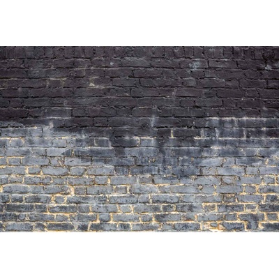 DIMEX ART Флизелинов фототапет мокра тухлена стена 375 x 250 см