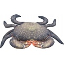 Gaby vankúš Krab kaliko 60cm