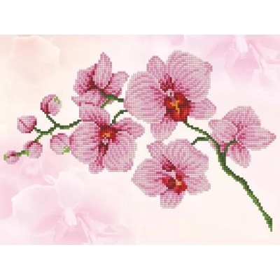 Diamond Dotz Orchidea 31 x 41 cm