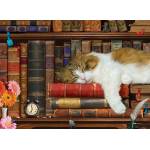 EUROGRAPHICS - Puzzle The Cat Nap - 500 piese