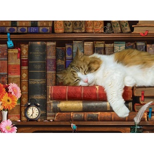 EUROGRAPHICS - Puzzle The Cat Nap - 500 piese