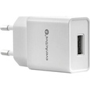 everActive SC-300