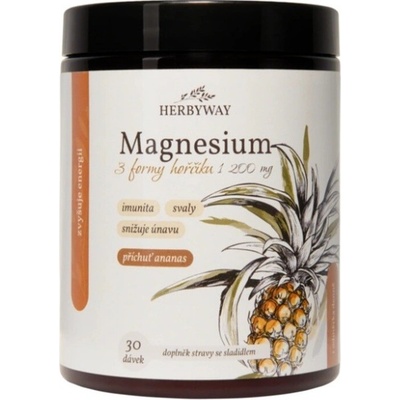 Herbs Energy Magnesium Drink Ananas 30 dávek