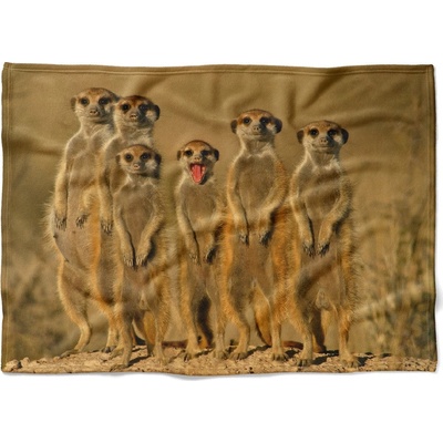 Impar fleece deka Surikaty Podšití beránkem NE 200x140
