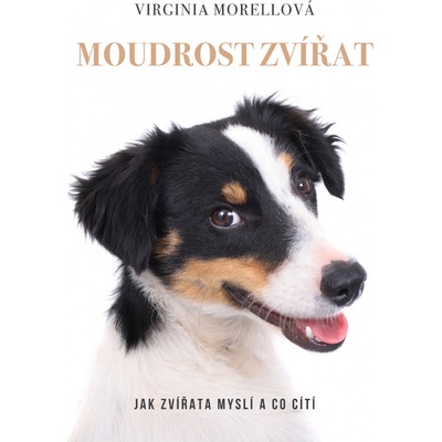 Moudrost zvířat - Virginia Morell