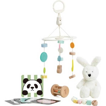 Classic World Кутия с дървени играчки за бебета от 0-6 месеца (cw10027)