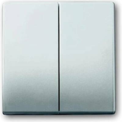 Busch-Jaeger 2CKA001751A2962