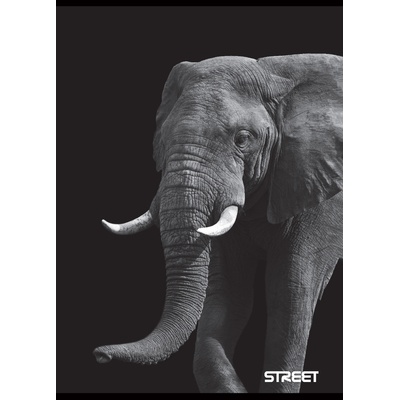 STREET Тетрадка Street, А5, широки редове, 54л, safari (25454-А-SAFARI)