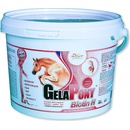 Orling Gelapony Biotin H 0,6 kg